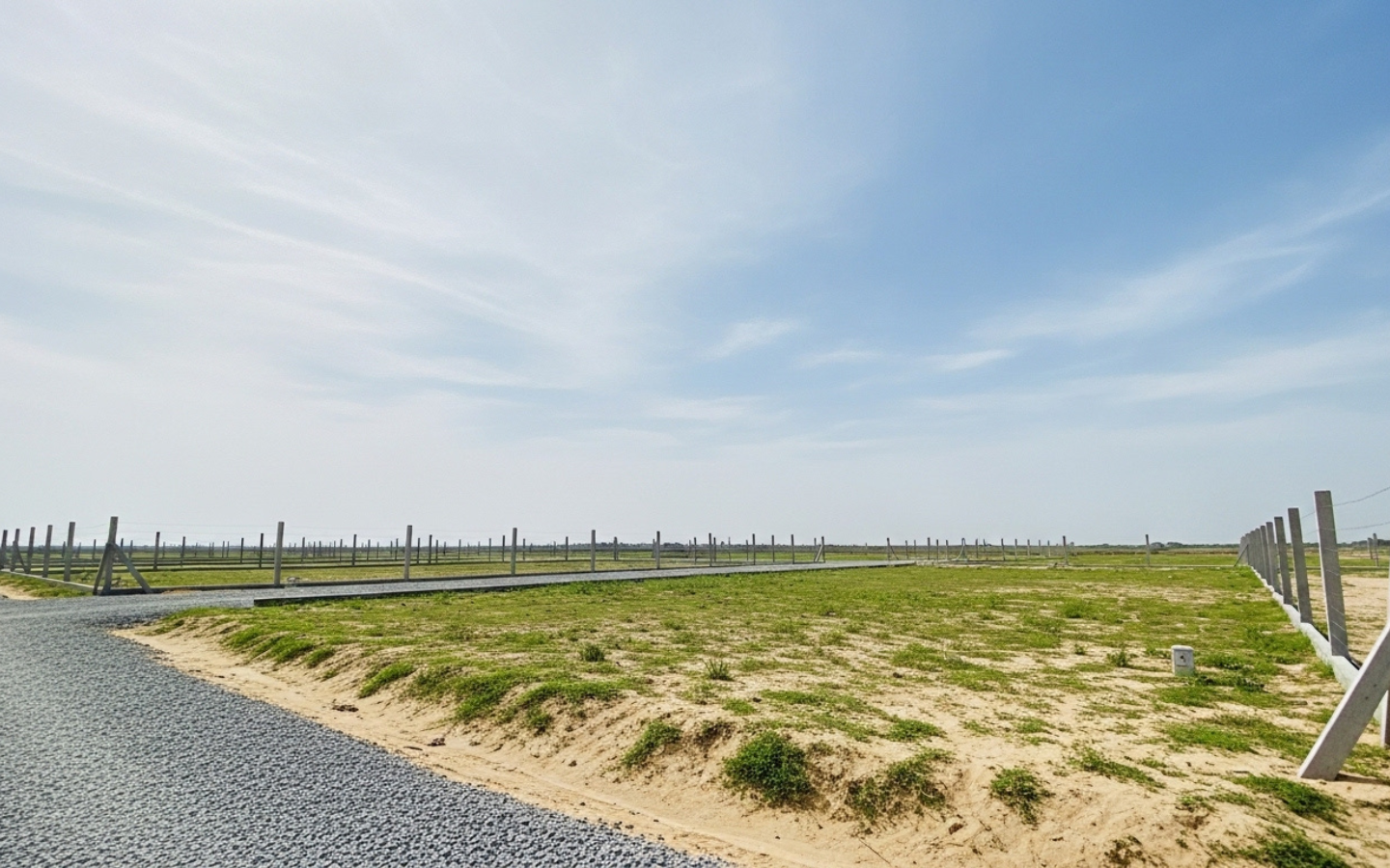 Untitled design – 2026-03-03T040436.877