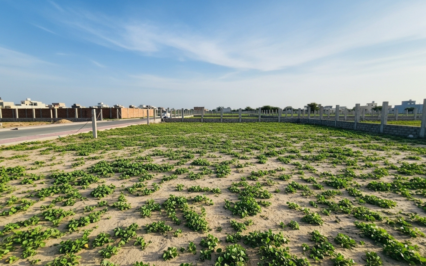 Untitled design – 2026-03-03T042305.457