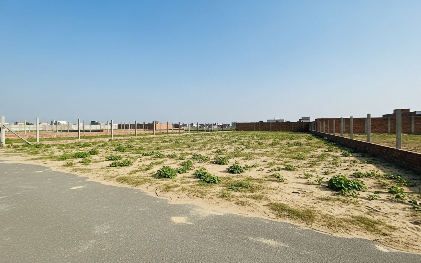 Untitled design – 2026-03-03T042337.007