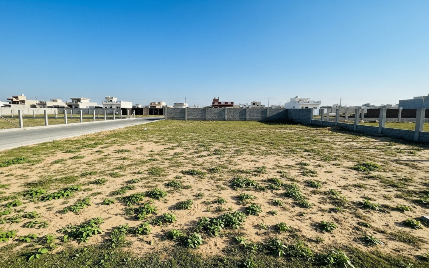 Untitled design – 2026-03-03T042452.659