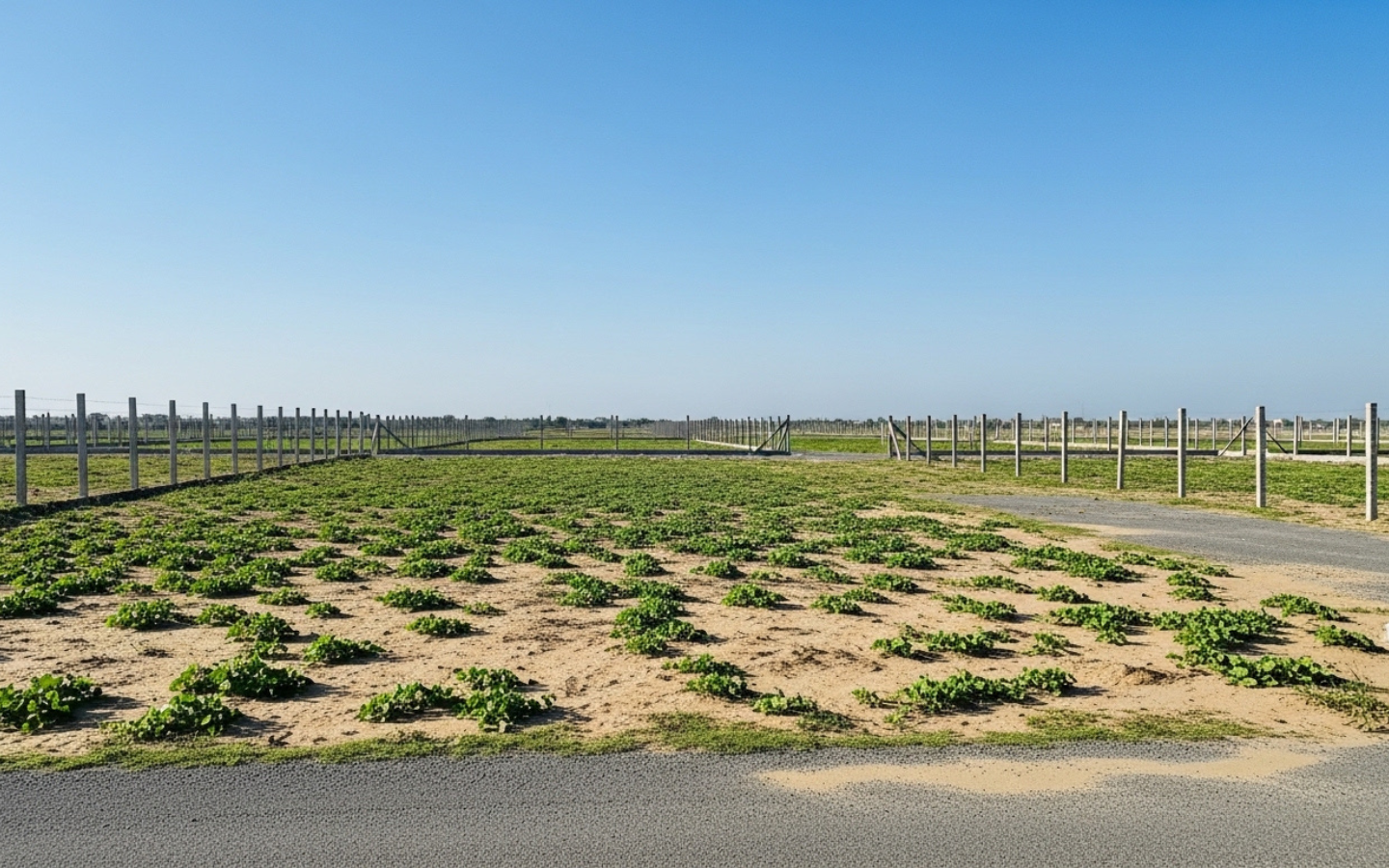 Untitled design – 2026-03-03T062451.879