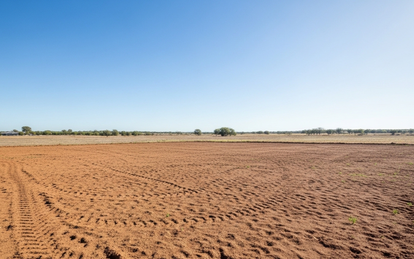 Untitled design – 2026-03-04T230646.565