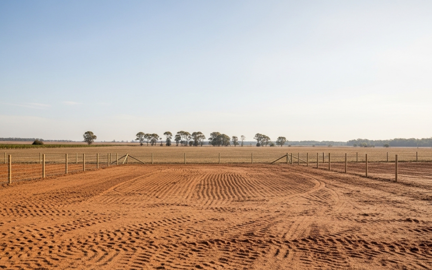 Untitled design – 2026-03-04T230717.146