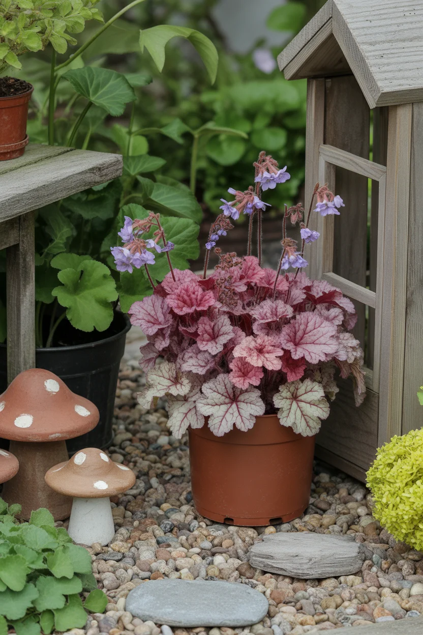 Fairy Garden Miniatures