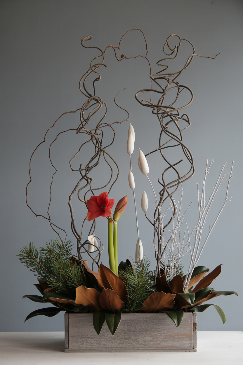 The Architectural Curly Willow Winter Window Box With Sculptural Drama