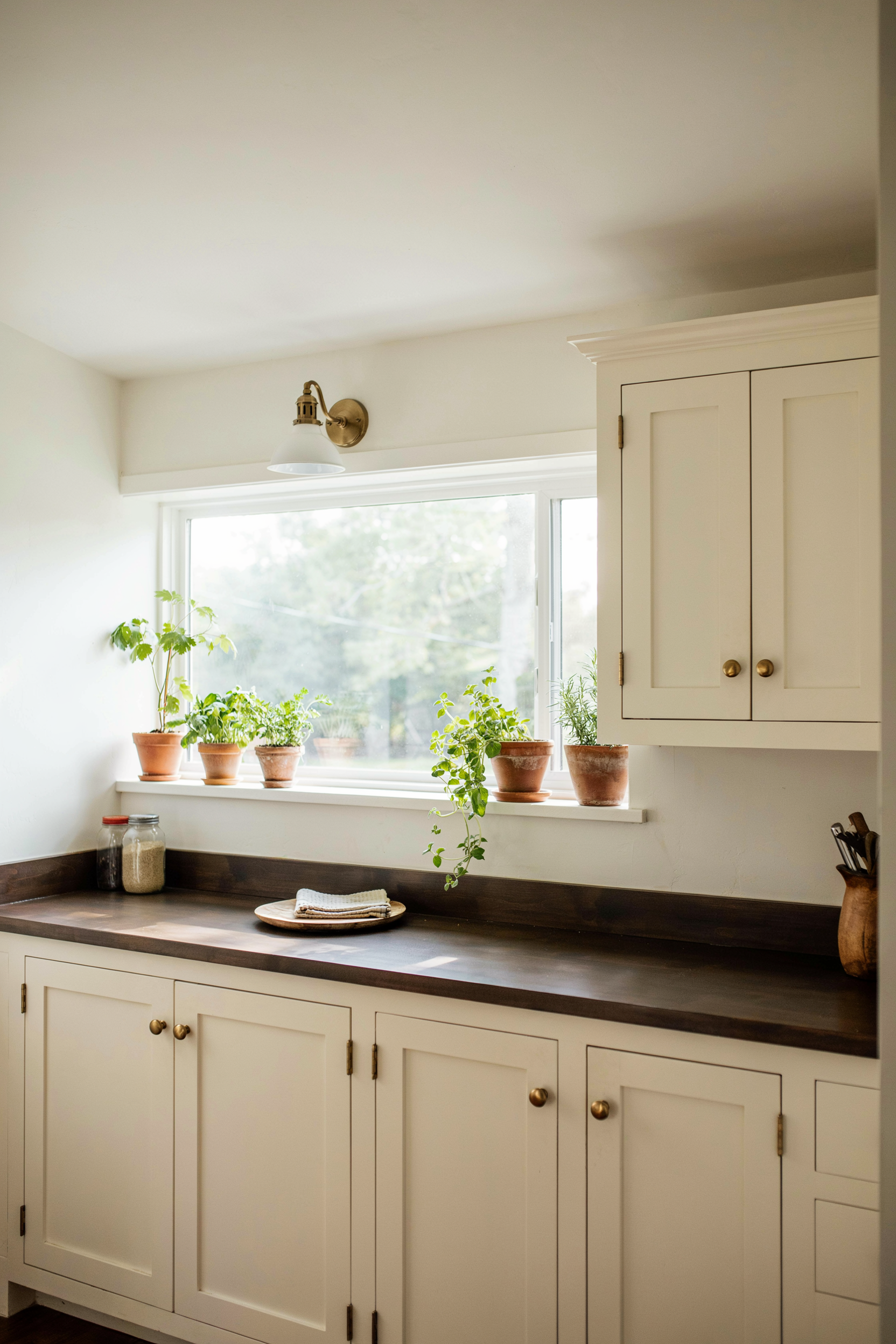 Mudroom Laundry Room With Window and Plants