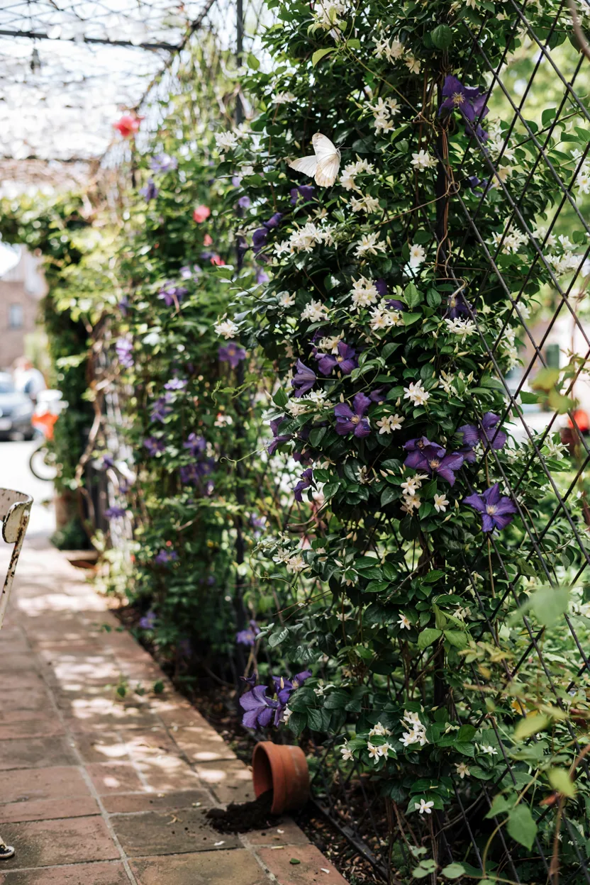 Living Vine Privacy Wall