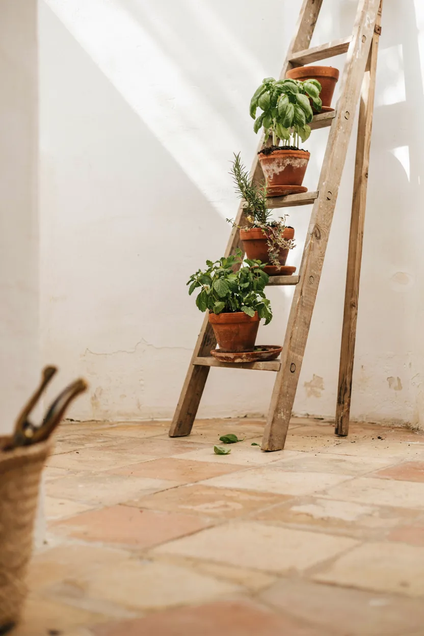 Vertical Herb Ladder Garden