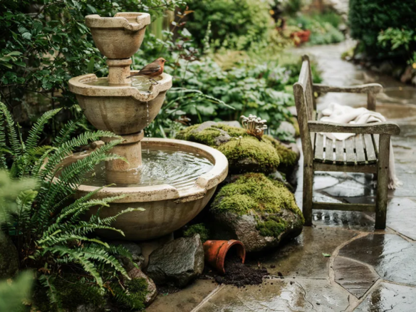 Backyard Corner Ideas