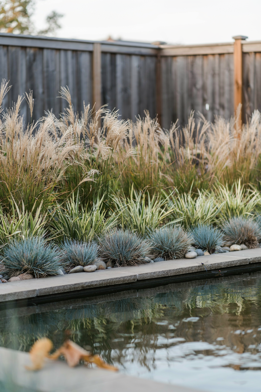 Layered Ornamental Grass Border