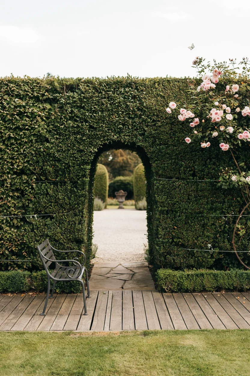 Living Hedge Wall