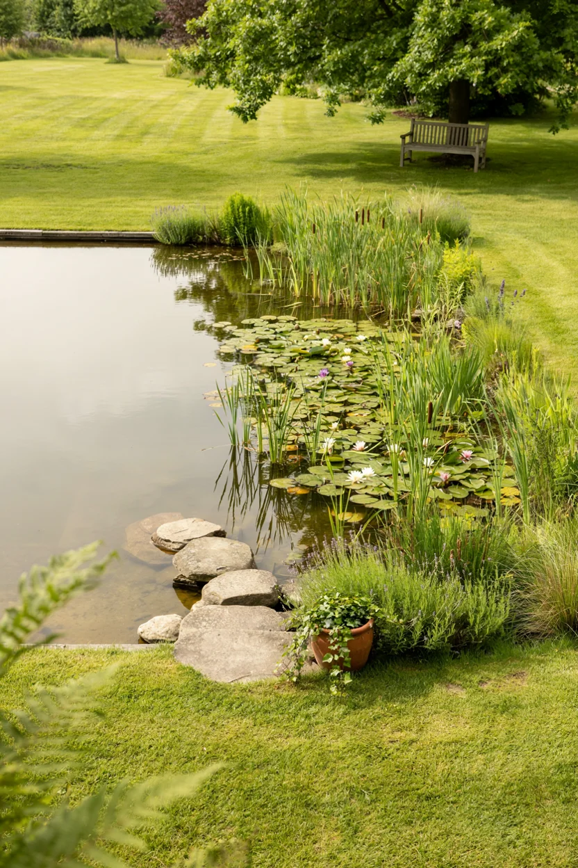 Naturalistic Swimming Pond