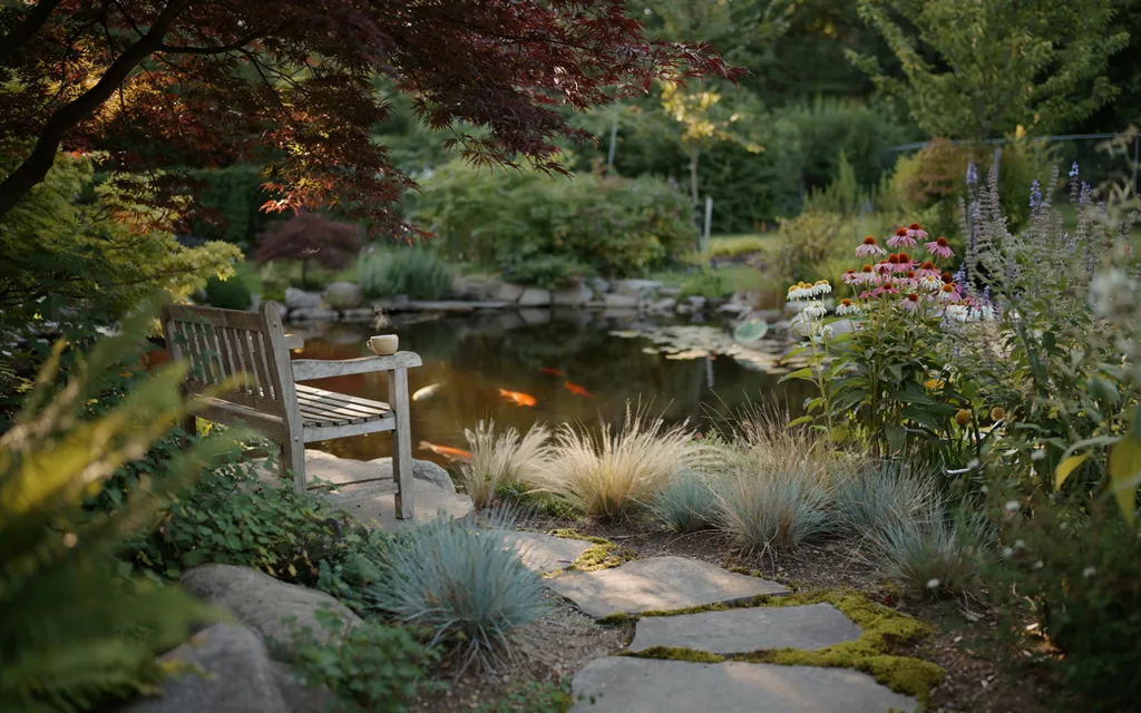 Pond Landscaping Ideas