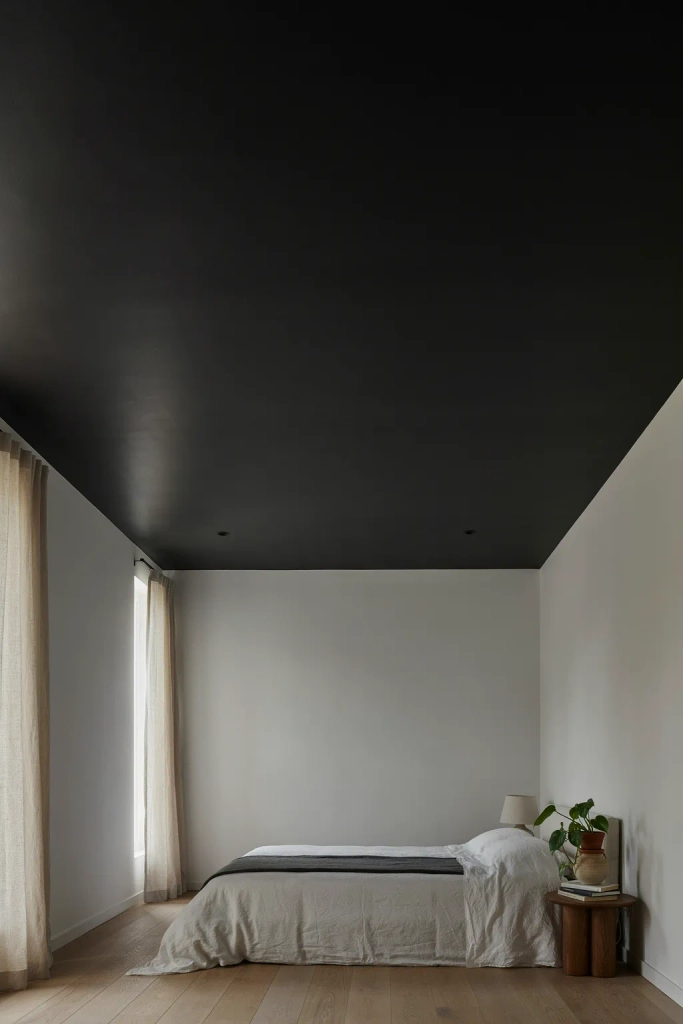 Black Ceiling Statement